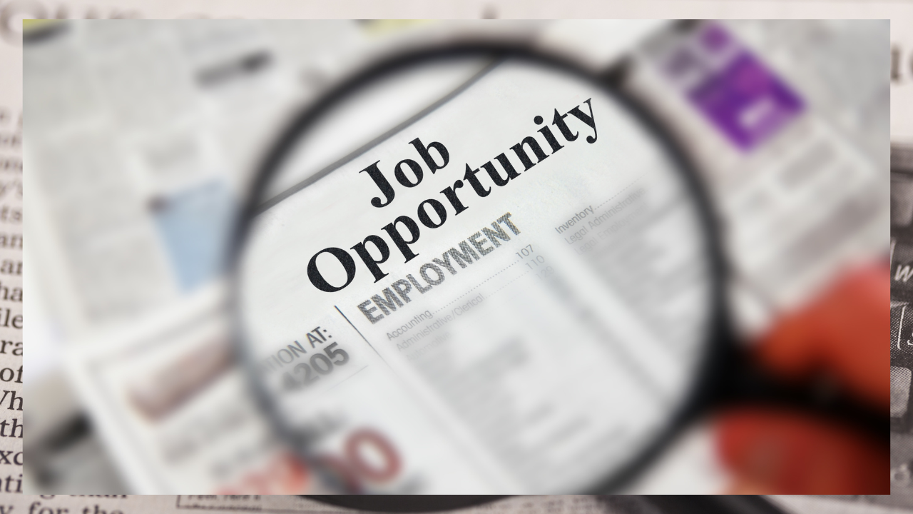 Employment