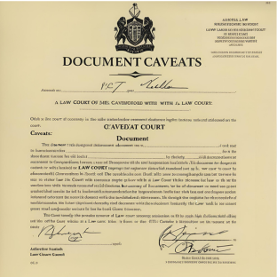 Caveats