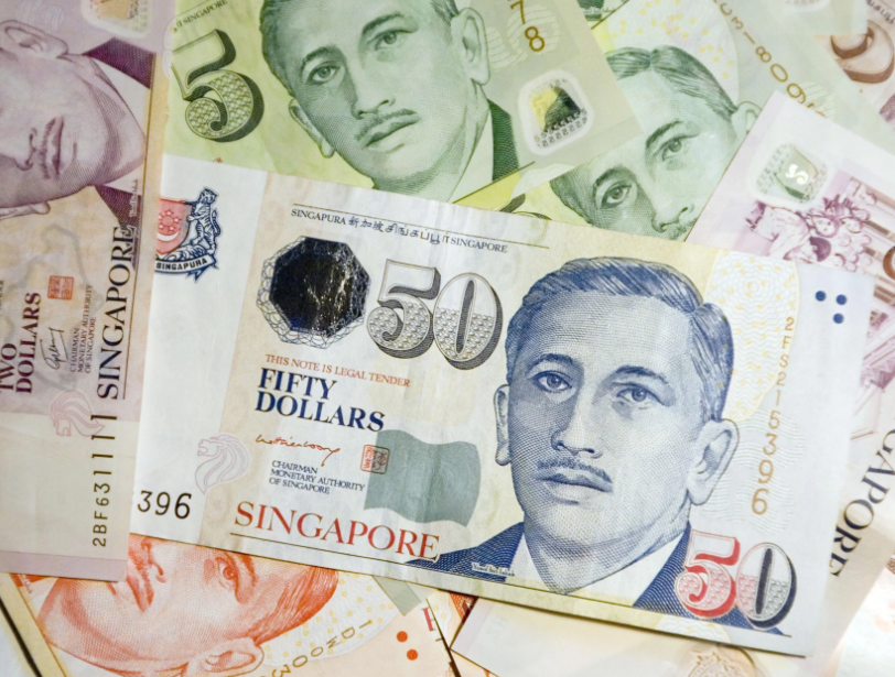 Singapore notes