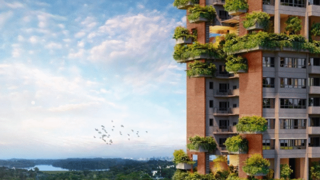 springleaf residences